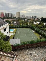 Windsor Park (D20), Detached #498089771